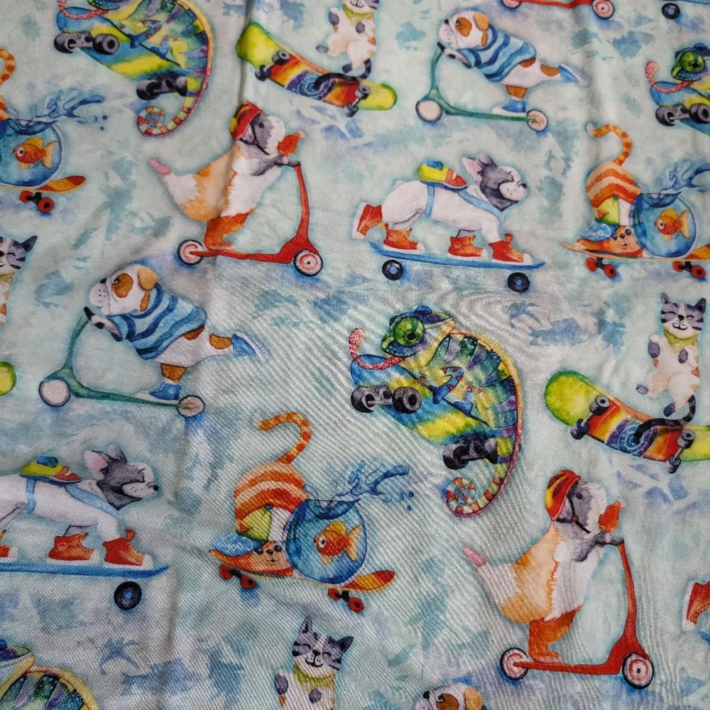 NWOT Birdie Bean Set Skateboard Pets Bamboo Pillow Case Brody